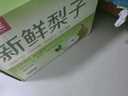 京鲜生安徽砀山红香酥冰糖梨 9斤装 单果130g+ 生鲜水果源头直发 实拍图