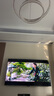 海信电视小墨E5Q Pro 75英寸 768分区U+MiniLED 信芯芯片抗反光防眩光墨晶屏国家补贴世界杯75E5Q-PRO 实拍图