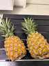 译优农正宗海南金钻凤梨新鲜热带水果当季香水金菠萝手撕小菠萝金凤梨 净重4.5-5斤【实惠装】海南直发 实拍图