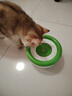 licheers狗狗水碗宠物悬浮喝水碗不湿嘴狗碗小型宠物狗水碗饮水器 绿色 实拍图