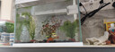 森森（SUNSUN）超白鱼缸一体缸自循环客厅水族箱桌面家用懒人免换水小型金鱼缸 超白HEJ380标配 带滤材+棉 实拍图