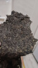 泾渭茯茶 黑茶叶 金花茯砖茶 陕西特产茶叶送礼自饮 经典1368 【JD发货】2023年900g 实拍图