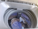 志高（CHIGO）全自动洗衣机 波轮宿舍迷你小型家用 洗烘一体 智能洗脱一体机 大容量 风干 【9Kg-特惠款-蓝光洗护-强动力电机】 实拍图