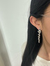 伊灿长款流苏水晶锆石耳环小众设计感高级耳坠夸张显瘦耳饰无耳洞耳夹 长款流苏显瘦锆石耳夹 实拍图
