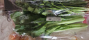 小白菜约250g 实拍图