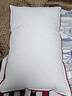水星家纺枕头枕芯酒店枕头护颈枕头芯家用单个纯棉抗菌可水洗中枕48x74cm 实拍图