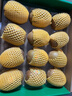 佳沛（zespri）新西兰 阳光金奇异果12粒礼盒特大果单果约122-146g 猕猴桃 水果 实拍图