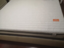 源氏木语0胶水床垫天然椰棕环保家用棕垫子双人护脊薄款硬垫多规格可选垫 J102床垫(厚6/椰棕4) 1800mm*2000mm 实拍图