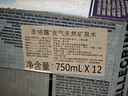 圣培露（S.PELLECRINO）意大利含气天然矿泉水气泡水750ml*12瓶 实拍图