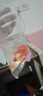 金鱼草金鱼观赏鱼冷水好养耐活小鱼苗锦鲤 2-4cm 红草金买3条送3条（加备损） 实拍图