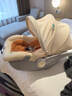 怡戈（Ekobebe）小元宝婴儿提篮式儿童安全座椅汽车用宝宝车载睡篮新生儿0-15个月 新国标-奶酪棕【5挡头枕调节+抗菌】 实拍图