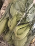 上海青约500g(油菜) 实拍图