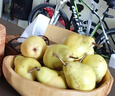 亨迅烟台太婆梨山东梨子啤梨香蕉梨大头梨茄梨软梨新鲜水果生鲜 5斤精品装（净重4.5斤） 香甜软糯|核心产区直发|放软后吃 实拍图