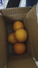 【热卖双色橙】正宗秭归脐橙中华红橙新鲜采摘 红黄双拼带箱2斤 实拍图