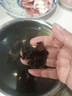 东北黑木耳干货特级秋木耳小云耳野生商用特产脆毛一级小碗耳 黑木耳50g*1袋 实拍图