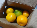 正宗无籽蜜橘酸甜可口新鲜薄皮蜜桔当季早熟水果 带箱2斤装 实拍图