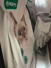 网易严选全价猫粮4.0 宠物主粮成幼猫无谷鲜肉护肠胃 鸡鸭禽肉味1.8kg*4袋 实拍图