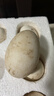 百世富泽（BAISHIFUZE）【百世富泽】黄河滩大鹅蛋新鲜正宗土鹅蛋农家自养孕妇超大鹅蛋 12枚115-130克 实拍图