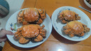 【活蟹】蟹宗大闸蟹鲜活螃蟹现货公5.0-5.3两母4.0-4.3两4对8只海鲜生鲜礼品源头直发 实拍图
