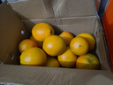 赣南脐橙江西正宗赣州橙子 新鲜水果整箱 团购送礼彩箱礼盒 手剥甜橙 榨汁 净重9-10斤装 单果200g-300g+ 源头直采 产地直发 实拍图