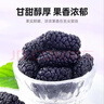 杞里香红枸杞子桑葚干组合500g宁夏头茬特级枸杞黑桑椹干即食桑葚子泡水 实拍图