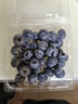 云南8分甜高山蓝莓125g(18mm) 实拍图
