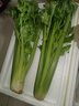 新鲜出土西芹大颗半叶绿色蔬菜榨汁专用甜脆嫩心时令蔬菜现割现发 4斤西芹实惠装 实拍图