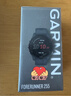 佳明（GARMIN）Forerunner255神秘灰心率跑步铁三户外运动智能手表生日礼物 实拍图