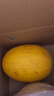 京鲜生 黄金哈密瓜 2粒 单果2.5斤起 净重6-8斤 生鲜水果礼盒 实拍图