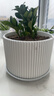 陶瓷花盆绿植盆栽亚光北欧风简约花盆大号桌面绿植盆送塑料托盘 白色 特大号（20*20*16） 实拍图