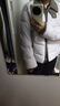 坦博尔轻薄羽绒服女短款翻领宽松舒适衬衫式女士外套330226D 薰衣草155 实拍图