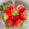 京鲜生 丹东99红颜奶油草莓 1.8斤礼盒装 300g*3盒 单果14-20g 生鲜水果 实拍图