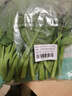 京鲜生 新鲜芥蓝 芥兰 湖南出品  600g 简装 新鲜蔬菜  实拍图