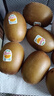 佳沛（zespri）新西兰阳光金奇异果 8个装 特大果单果重约122-146g 水果猕猴桃 实拍图