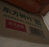 农夫山泉 东方树叶红茶500ml*15瓶无糖茶饮料0糖0脂0卡整箱装解渴饮品 实拍图