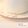 银奥（yinao）999足银项链女蛇骨链替换素链足银盒子裸链配饰满天星无吊坠链条 999足银十字链 实拍图