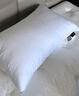 MIDO HOUSE铭都纯棉枕芯酒店双人枕头芯整头枕心一对家用高枕 实拍图