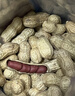 金陵老太太红皮花生500g原味无添加干炒熟带壳小粒花生米炒货零食大袋 实拍图