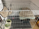 憨憨宠猫笼折叠猫笼子大号猫别墅加粗加密双层猫舍猫窝宠物猫咪用品家用 白色 850双层 实拍图