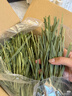 喜帅兔子提摩西草 精选烘干北提提草龙猫兔粮荷兰猪主粮磨牙零食500g 实拍图
