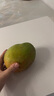京鲜生杨枝甘露芒果 净重4.5斤 带箱5斤 单果500g+ 生鲜水果源头直发 实拍图