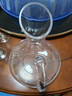 VTyee红酒杯套装家用醒酒器欧式玻璃水晶杯葡萄酒高脚杯创意酒具高脚杯 醒酒器+魅力款 320ml 6只 无规格 实拍图