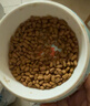 冠能猫粮 低卡体重控制绝育猫粮成猫2.5kg 维持健康体态 有助新陈代谢 实拍图