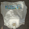 派乐特 宠物猫咪母狗狗生理裤尿不湿泰迪卫生巾姨妈月经裤纸尿裤 XL10片 实拍图