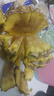 广东徐闻香水菠萝新鲜水果生鲜热带孕妇水果整箱包邮 【限时低价】1个装  单果650g起 实拍图