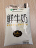 每日鲜语蒙牛透明小白袋鲜牛奶180ml*12/箱巴氏杀菌鲜牛奶 实拍图