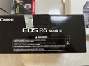 佳能（Canon）EOS R6 Mark II 全画幅微单数码相机R6二代 单机身 （约40张每秒连拍/6K超采样4K短片） 实拍图