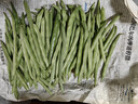 云南高山新鲜四季豆圆青豆现摘直发农家蔬菜鲜嫩饱满带箱2斤健康食材 实拍图