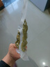 MVVWVV真空封口机干湿两用家用商用大功率食品保鲜机全自动抽真空包装机塑封机不挑袋抽腊肉 【封口机+100真空无菌袋】紫光/双泵大吸力 实拍图