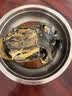 凤补泰和乌鸡正宗原种五爪乌鸡散养白凤乌鸡肉煲汤生鲜现杀端午礼盒装 600足天老乌鸡（送30枚乌鸡蛋） 实拍图